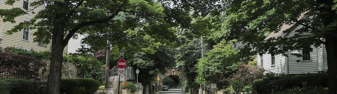 Pennsylvania creekside town with stone and clapboard houses along a tree-shaded road